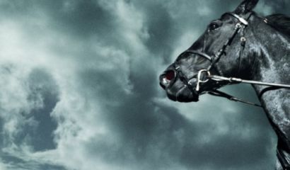 What Are The Top 10 Characteristics of Leading ‘Dark Horse’ Companies?