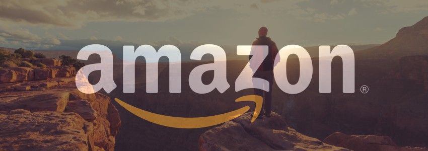 Amazon and The Great Divide